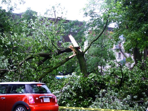 Storm ripped through Girouard Park