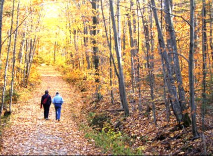 Get out and enjoy nature:  it’s great for healthy living