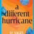 A Different Hurricane – Exploring love, identity, and the cost of secrecy